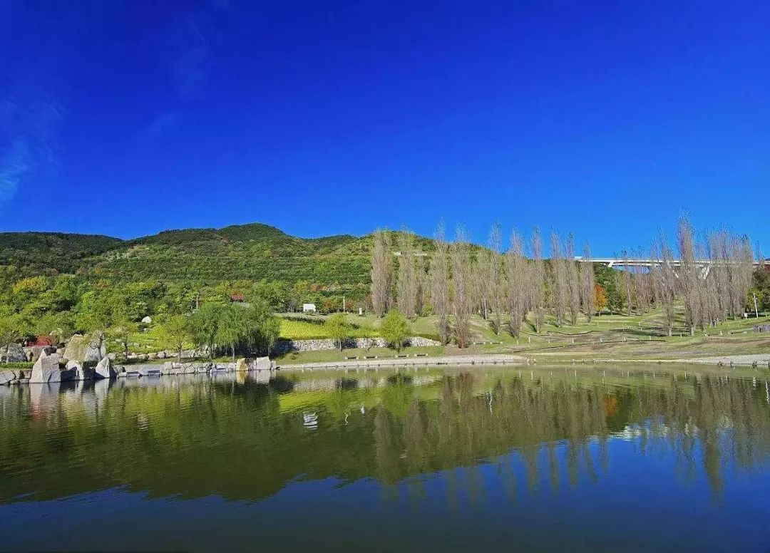 1649297589106954.jpg 3.jpg